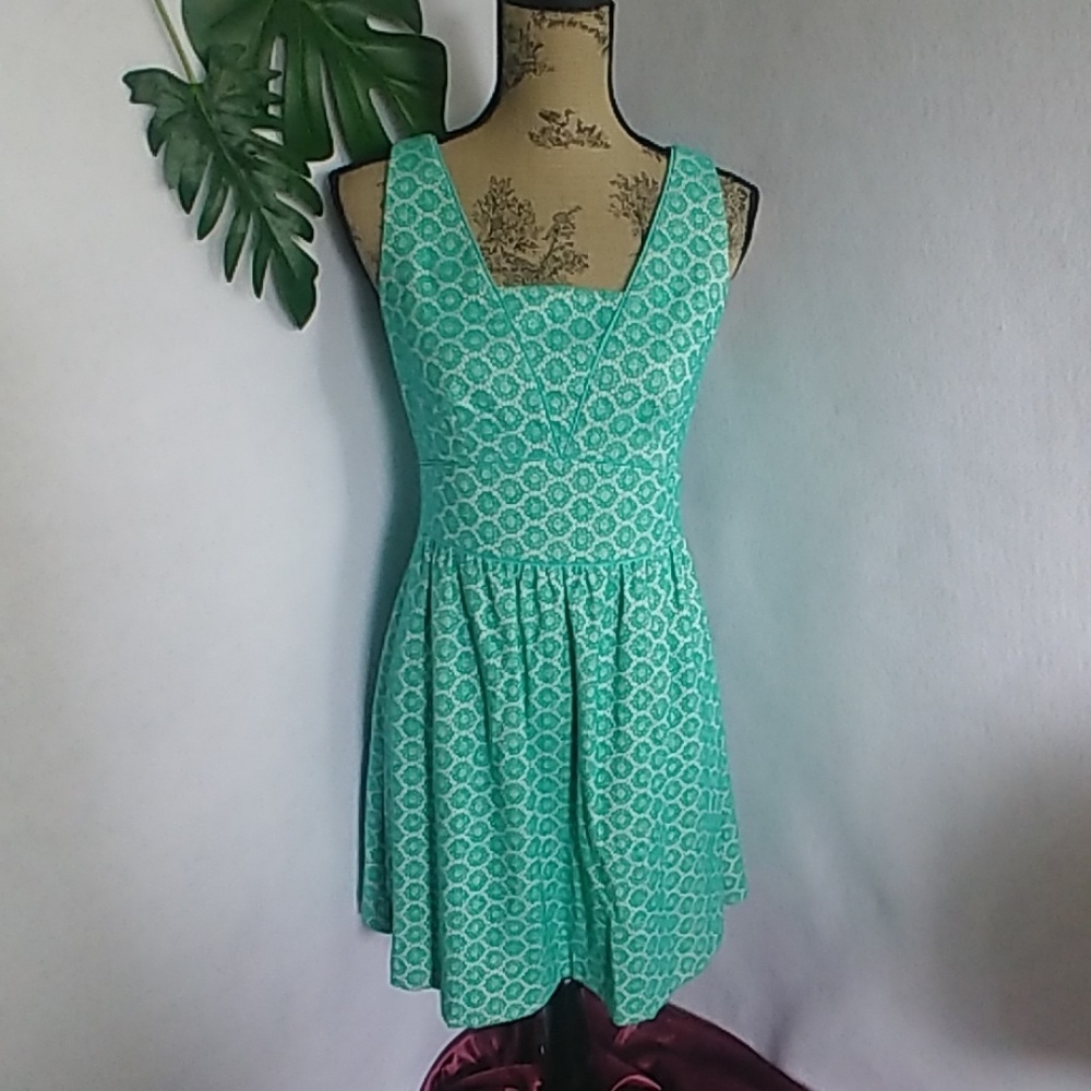 The Limited Green Lace Sleeveless Empire Waist Fit & Flare Pockets Dress